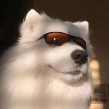 สมบัติ เมทะนี avatar